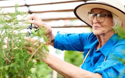 How Creative Pursuits Promote Healthy Aging