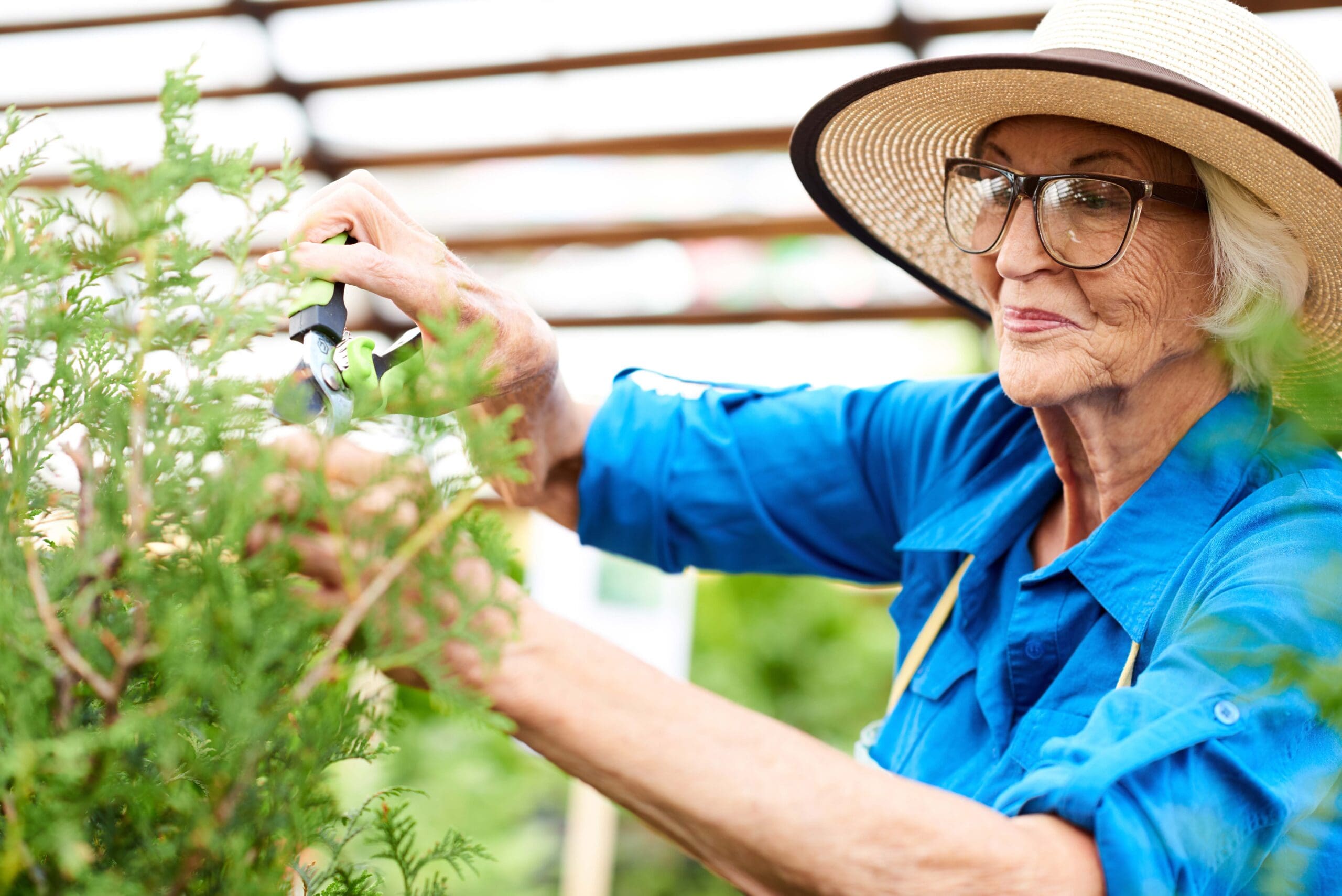 Smiling Senior Woman Caring for Plants