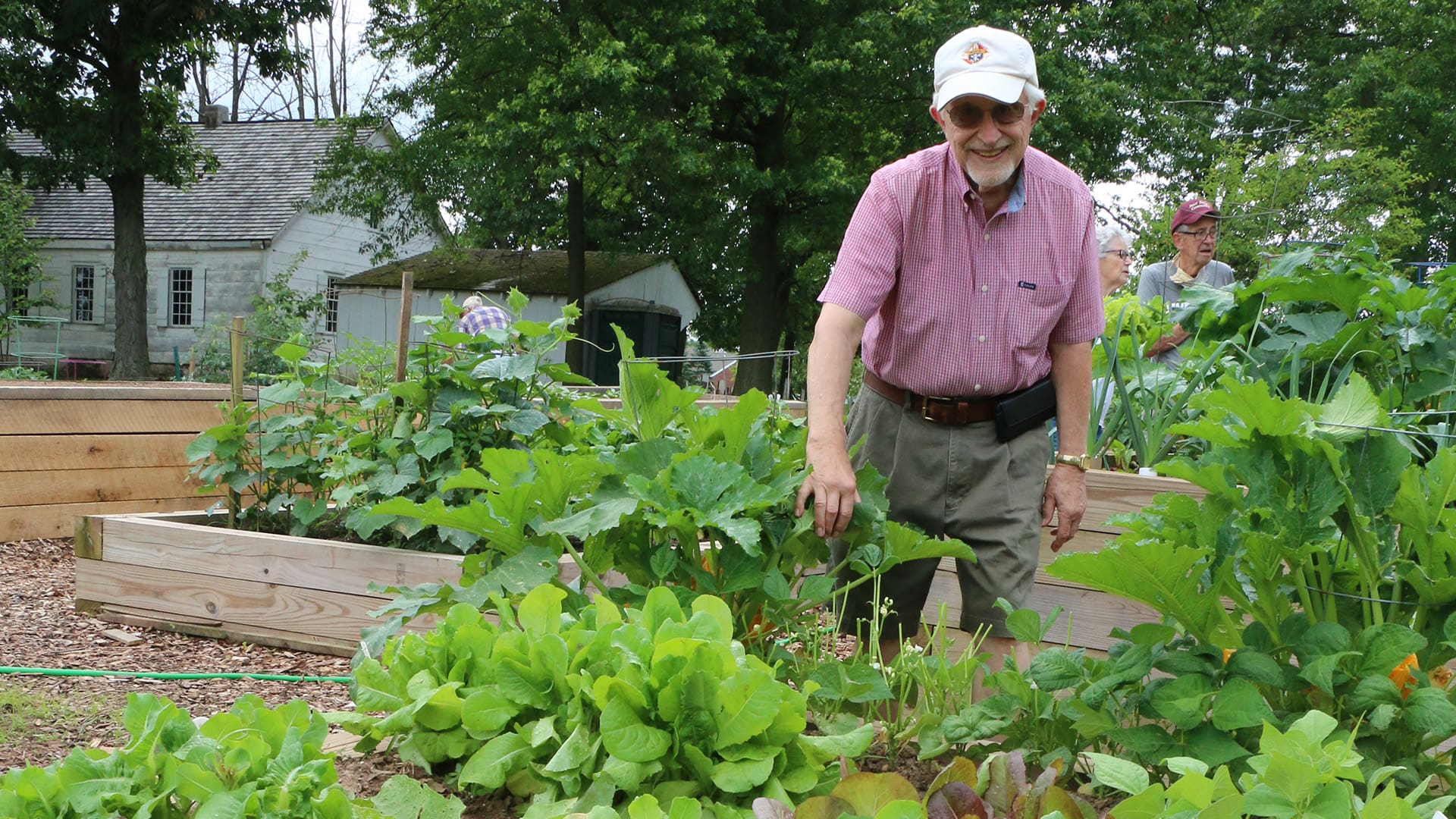 senior man smiling while working in a garden