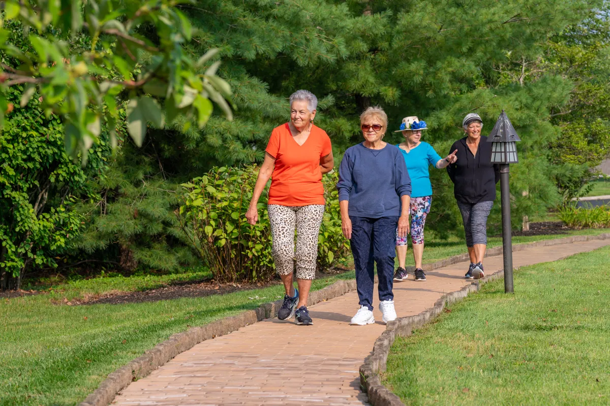 seniors-walking-onsidewalk Group Of Retired Seniors exercising